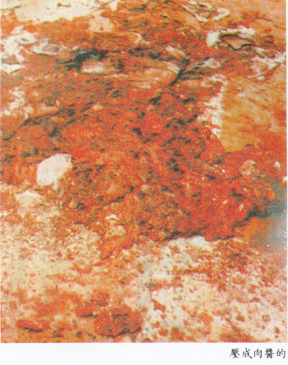 解放軍血腥屠殺清場 影像 8